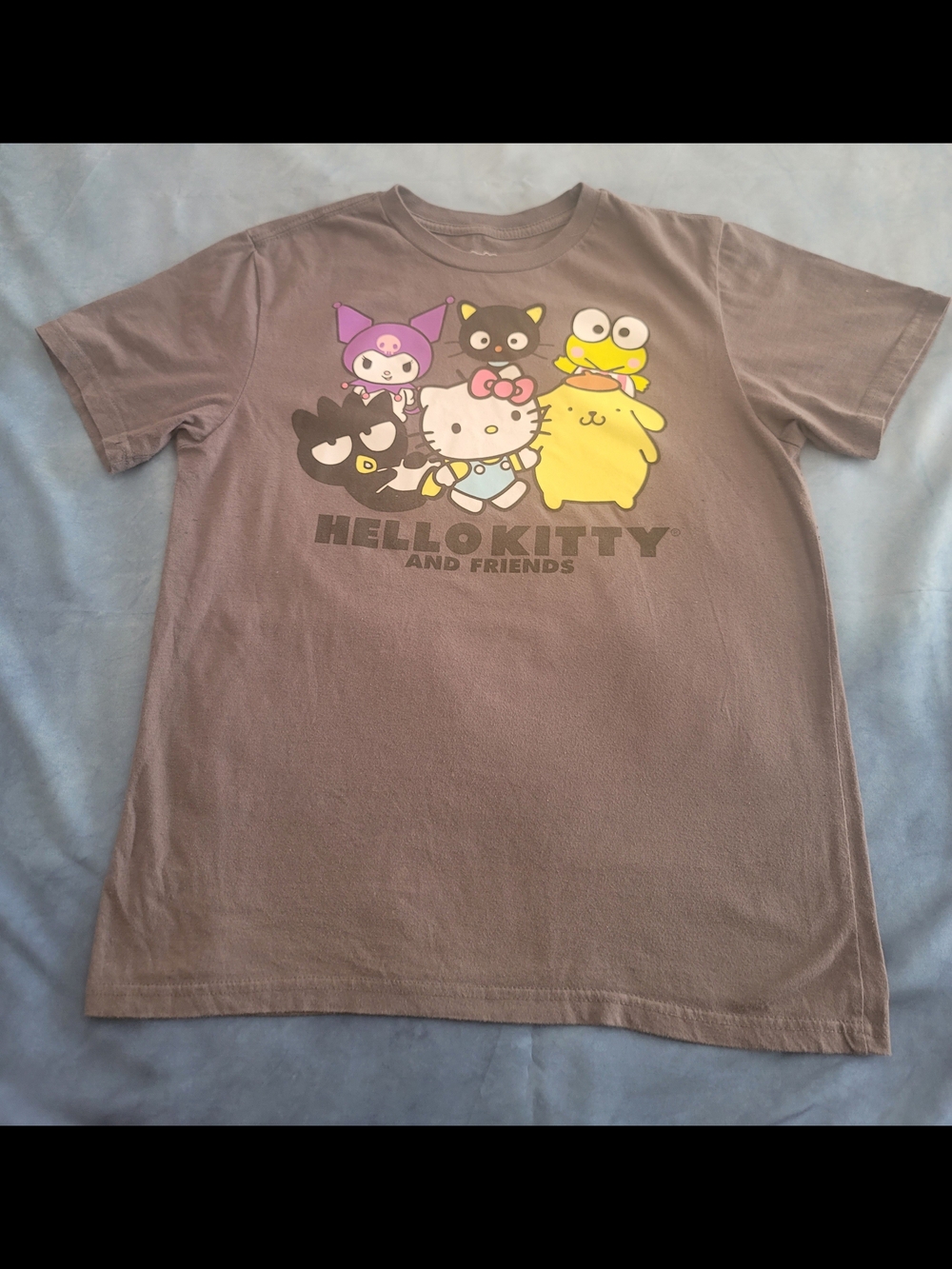 Sanrio Shirt Hello Kitty And Friends